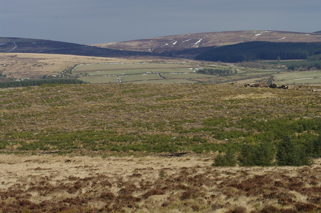 Dartmoor Looking from Belever Tor