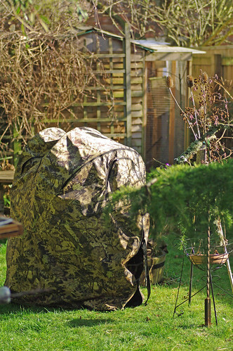 Pop-up  Chair     Hide