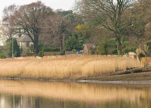 The River at Topsham