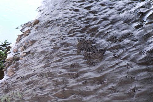 Mound under bridge a
