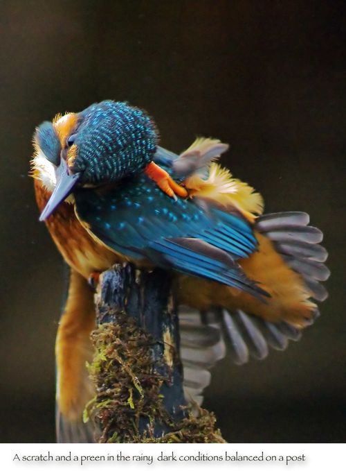 Weird KF with text a