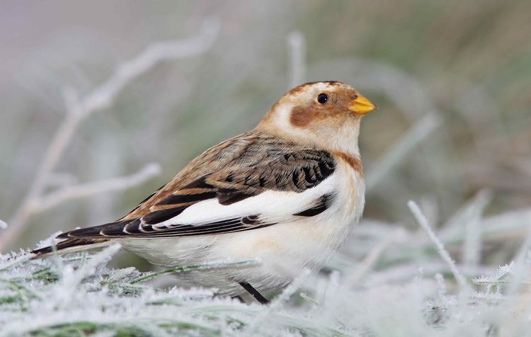 IMGP5054d(a) IMGP5054d(a)