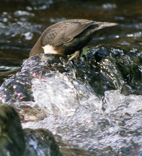 IMGP3011_edited-2 IMGP3011_edited-2