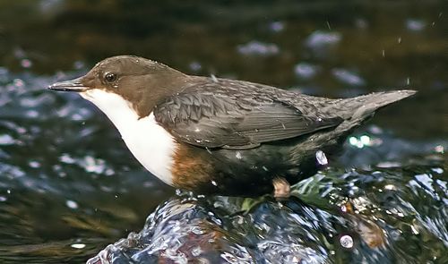 IMGP3012_edited-1 IMGP3012_edited-1