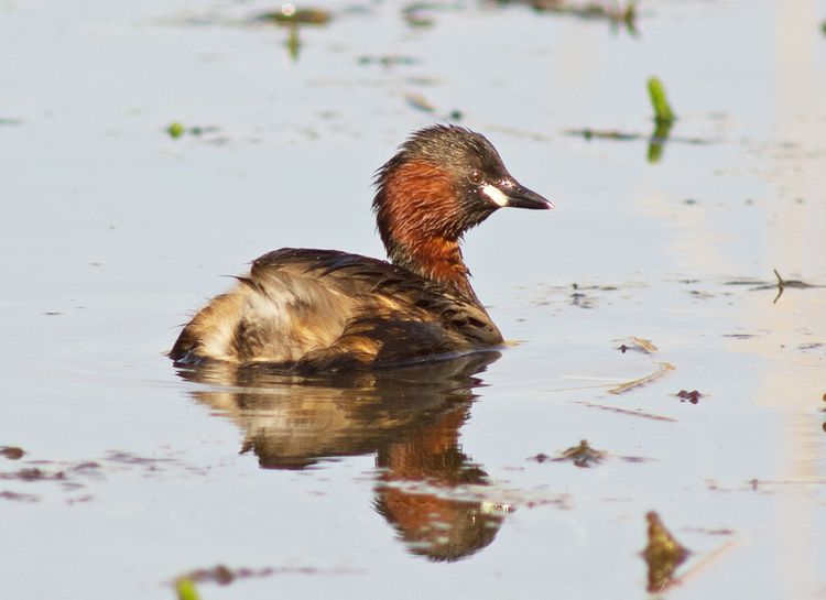 IMGP2545_edited-2 IMGP2545_edited-2