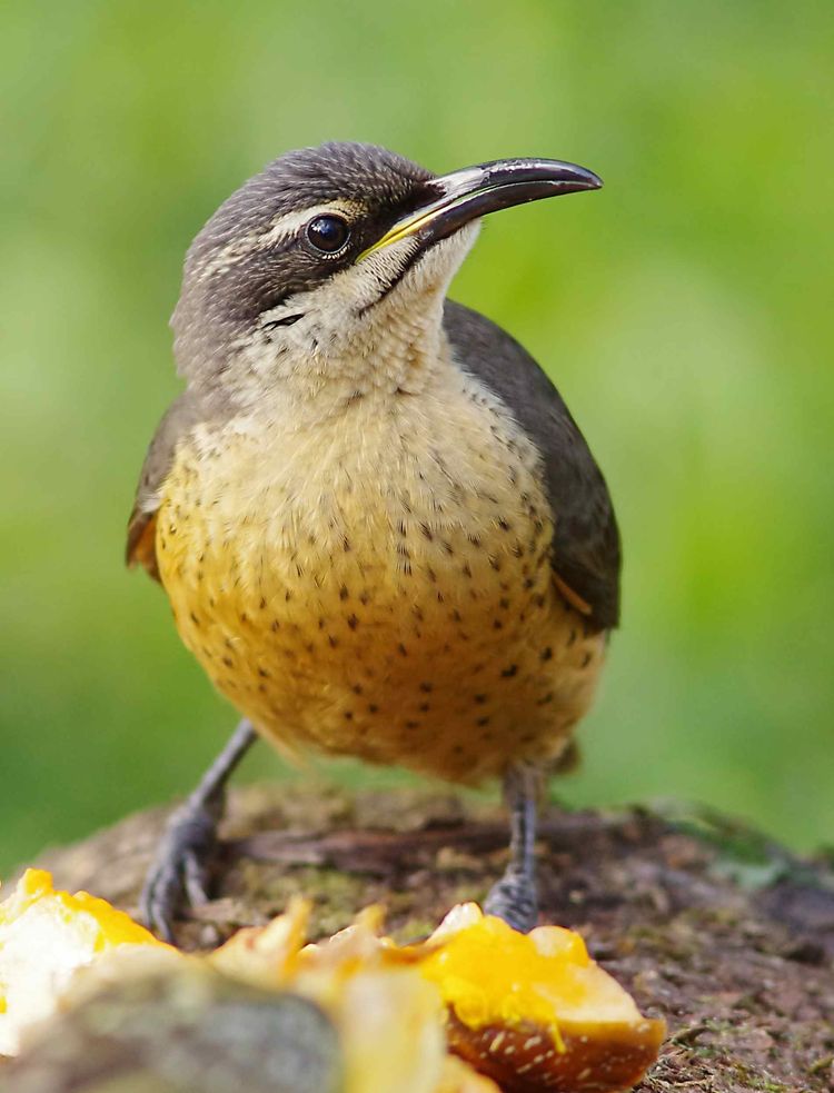 IMGP2882ax IMGP2882ax