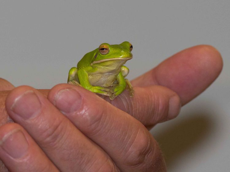 IMGP7206_edited-1 IMGP7206_edited-1