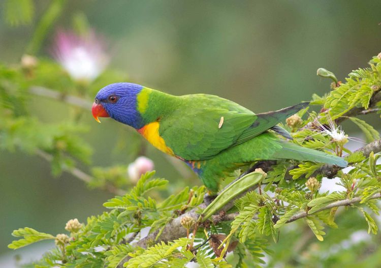 IMGP7239_edited-1 IMGP7239_edited-1