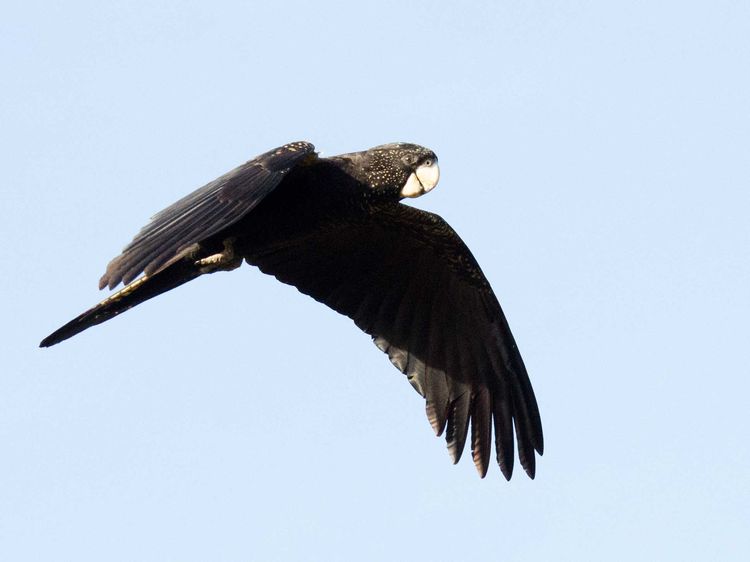 IMGP6953_edited-1 IMGP6953_edited-1