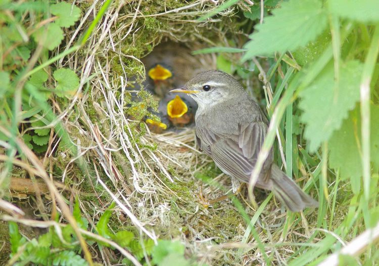 IMGP1037a:aa IMGP1037a:aa