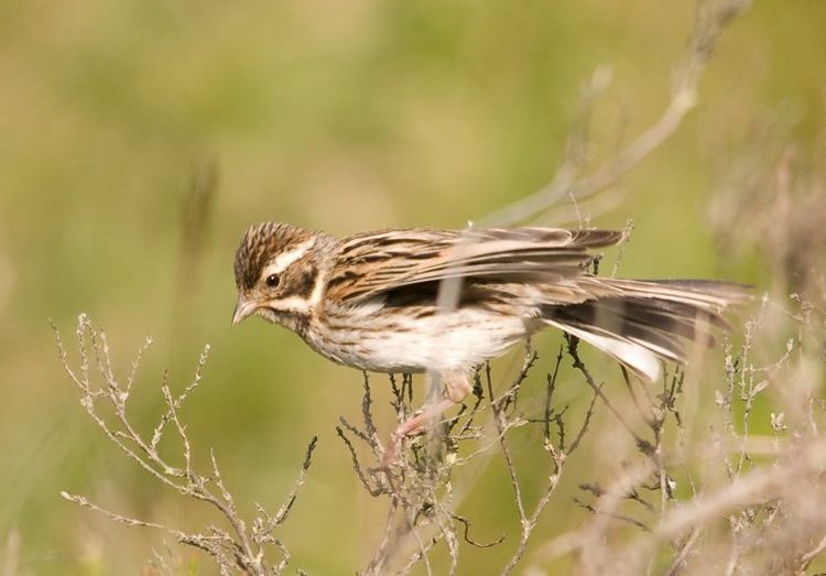 125424284.jOB22WEc 125424284.jOB22WEc