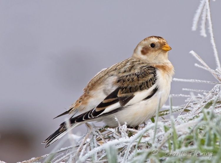 131015667.81fu1Bcq 131015667.81fu1Bcq