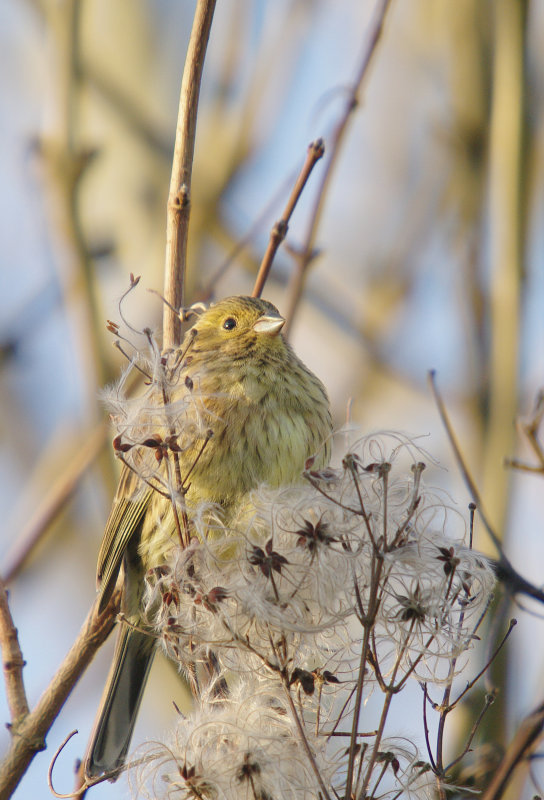 108658444.AFURlekv 108658444.AFURlekv