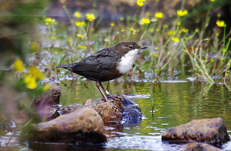 IMGP1857aa IMGP1857aa