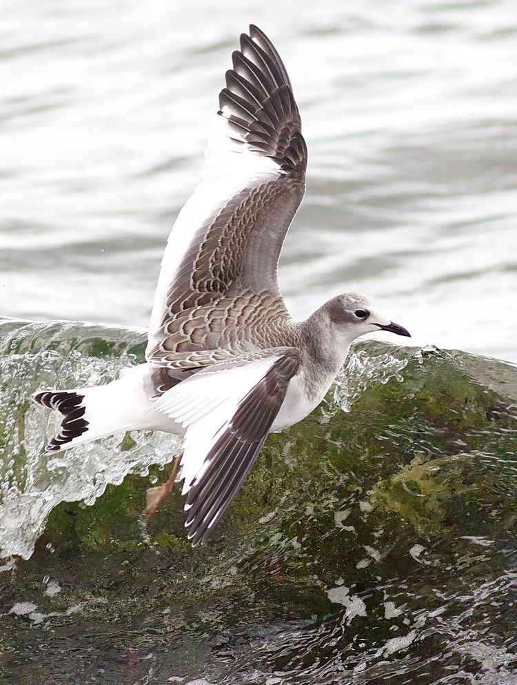 IMGP8023edited_edited-1