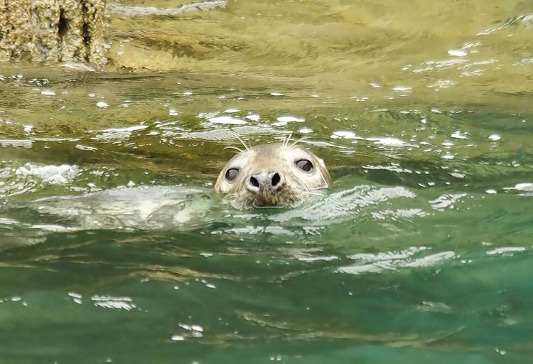 IMGP5743a_edited-1 IMGP5743a_edited-1