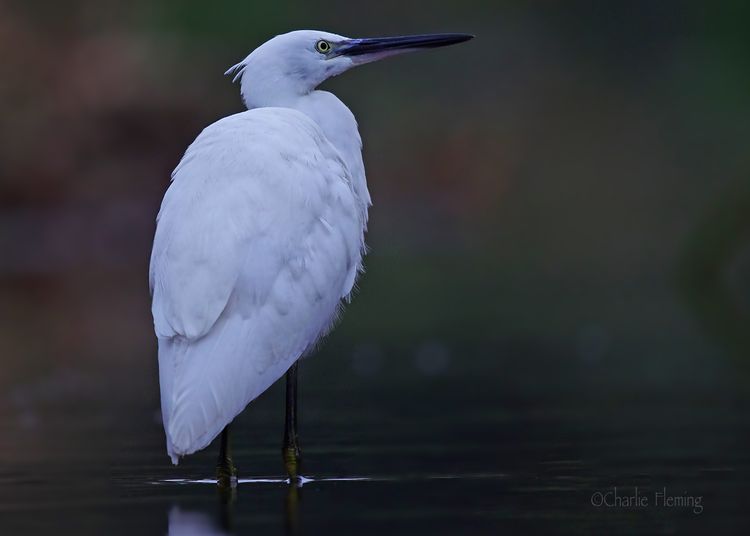 IMGP5569xx IMGP5569xx