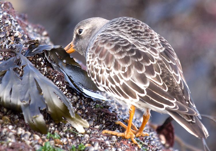 139888200.3UwXRXP3.IMGP4484_edited1