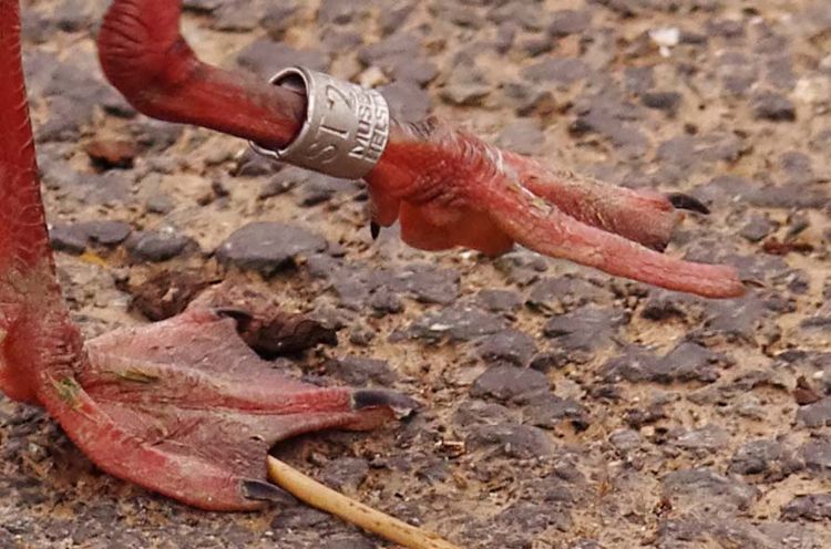 6a00e54ef87d408833015390a5bced970b-750wi