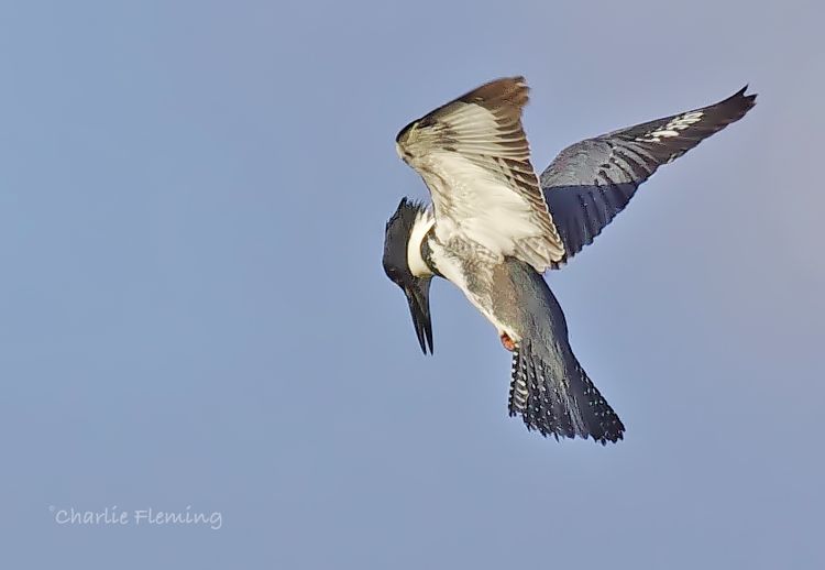 141001465.q26JKoBP.IMGP3465a