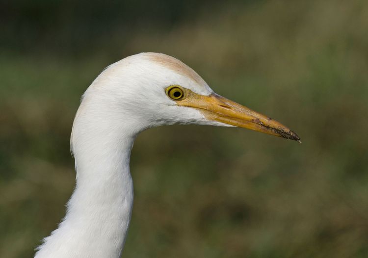 IMGP0015_edited-1 IMGP0015_edited-1