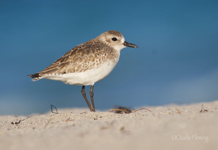 IMGP0078_edited-1 IMGP0078_edited-1