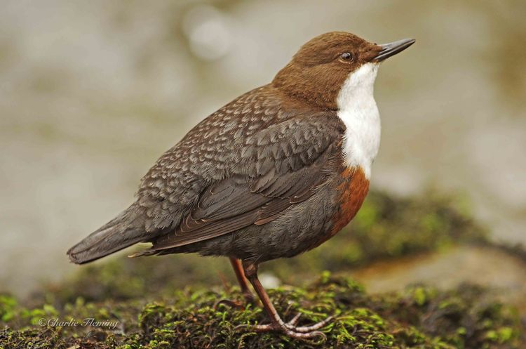 IMGP6319_edited-1 IMGP6319_edited-1