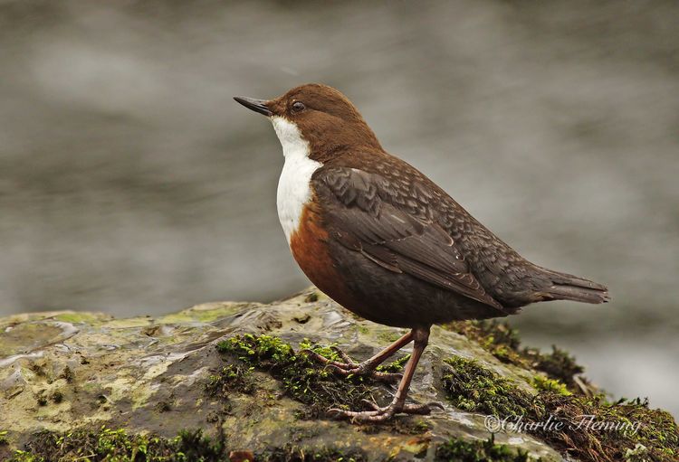 IMGP9416 copy IMGP9416 copy