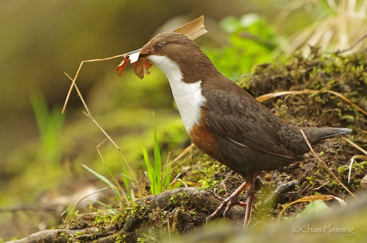 5HAS5998_edited-2 5HAS5998_edited-2