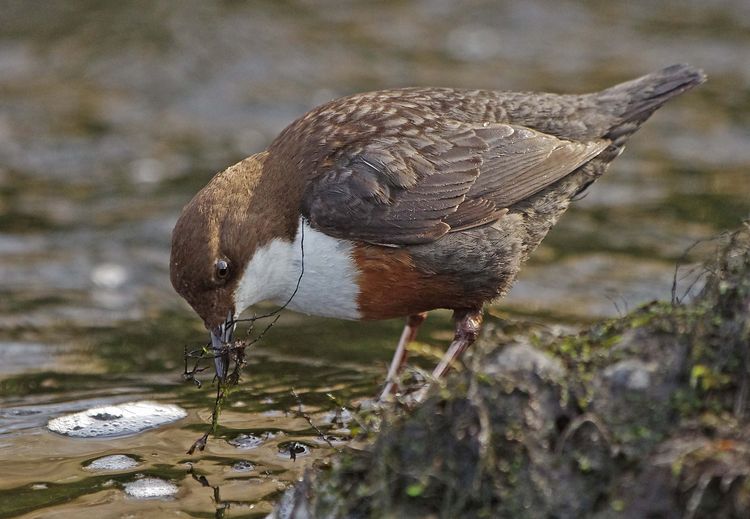 5HAS3793 copy_edited-1