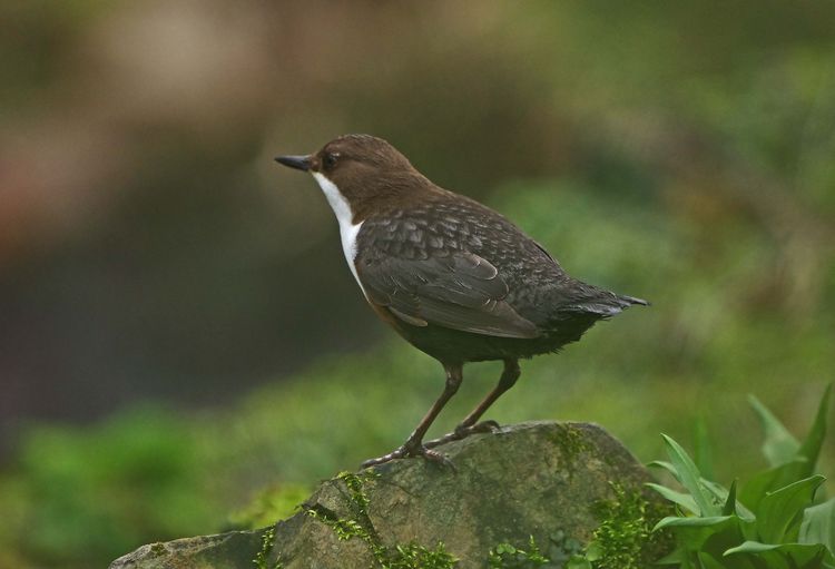 5HAS2914xxxx 5HAS2914xxxx