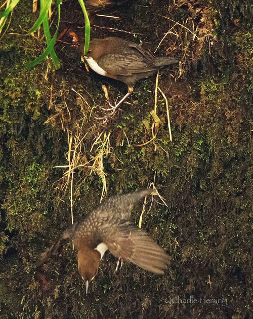 Pair at last_edited-1 Pair at last_edited-1