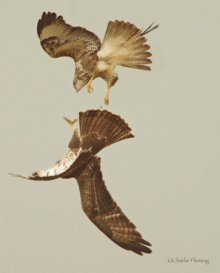 5HAS5368aaa_edited-1