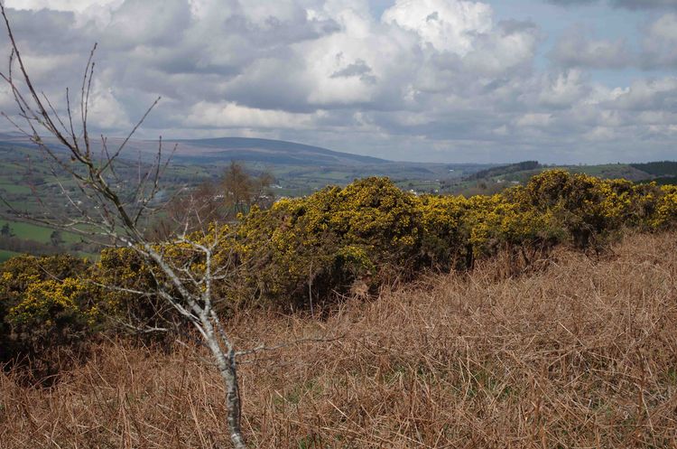 Dartmoor from the hill
