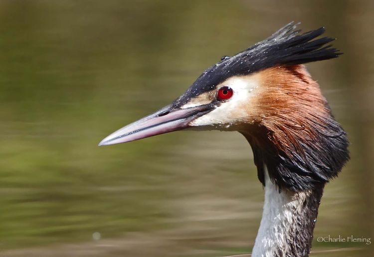 5HAS2209aaaa_edited-1