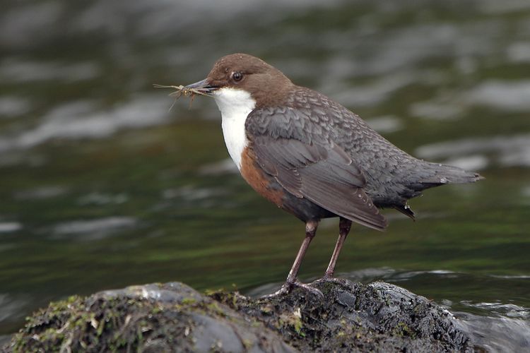 5HAS1877aaa_edited-1