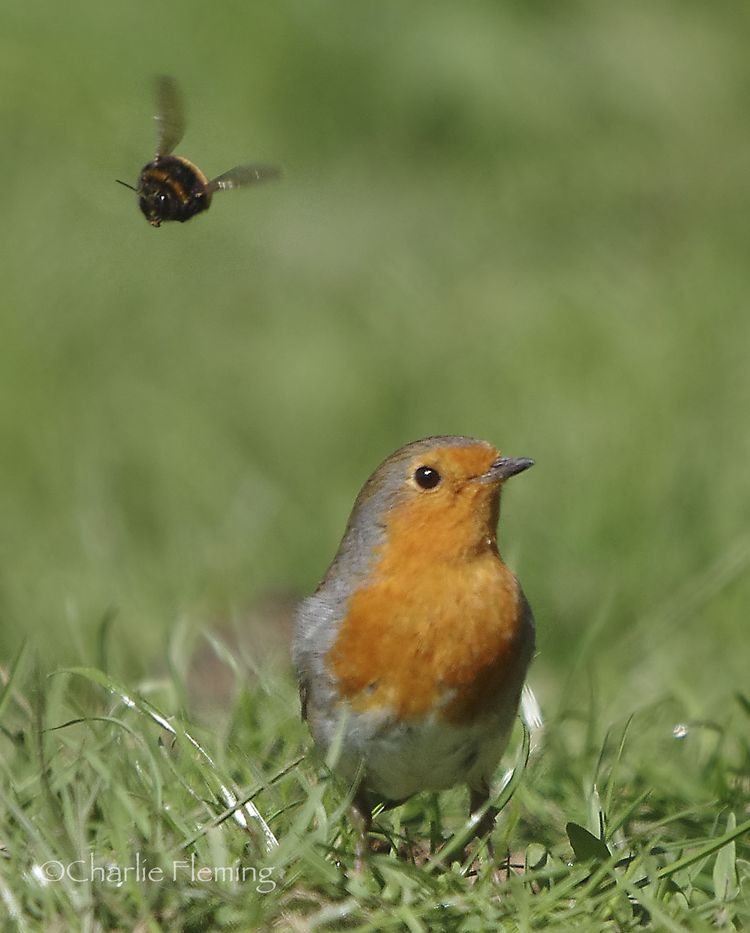 5HAS0049aa copy_edited-1