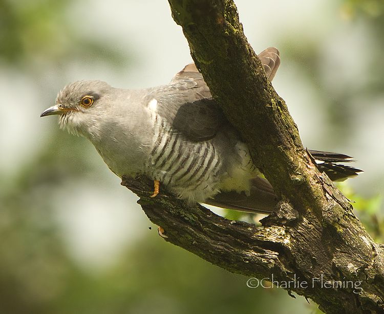 5HAS6205xxxx_edited-1