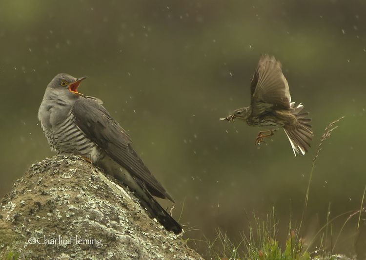 5HAS5725 new_edited-2