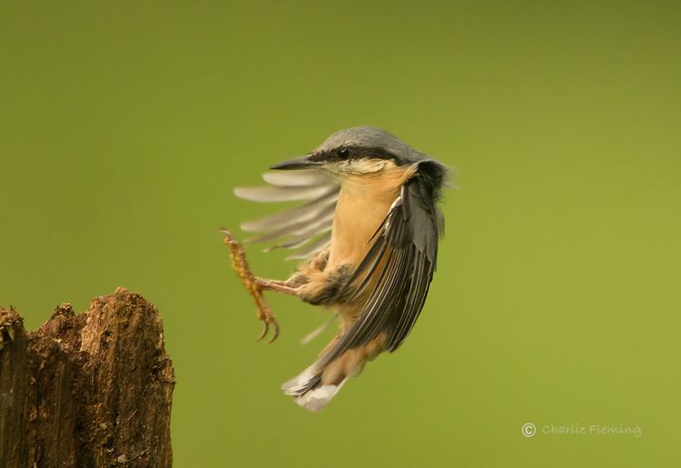 145441945.J1c4cm0Q.5HAS9030a_edited1