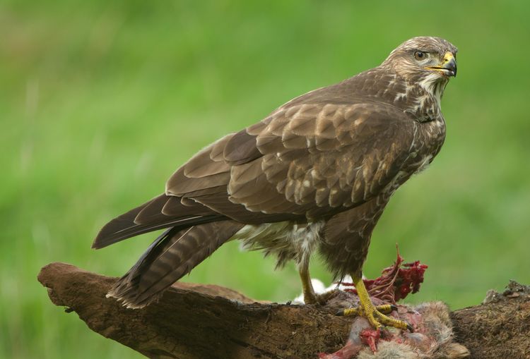 5HAS6809_edited-1 5HAS6809_edited-1