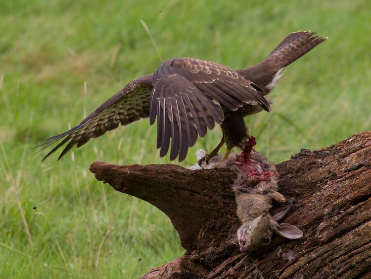 5HAS6847_edited-1 5HAS6847_edited-1