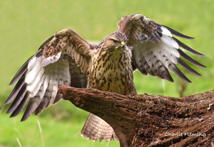 5HAS9191_edited-2 5HAS9191_edited-2