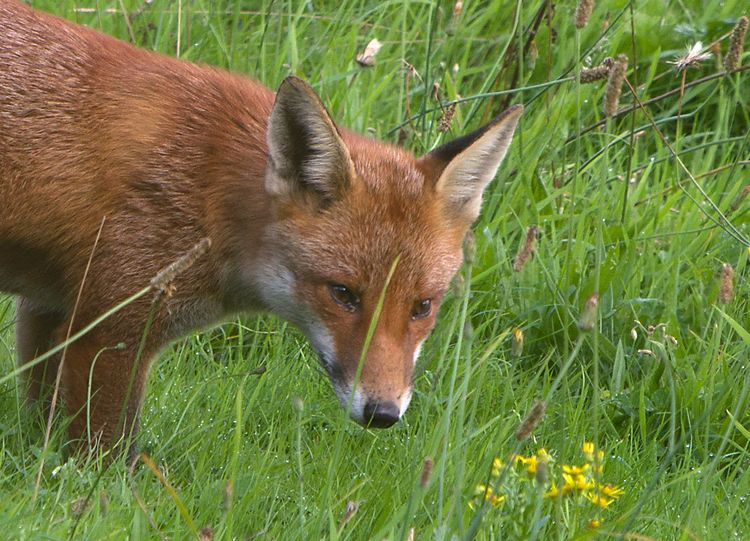 5HAS8899_edited-1a 5HAS8899_edited-1a