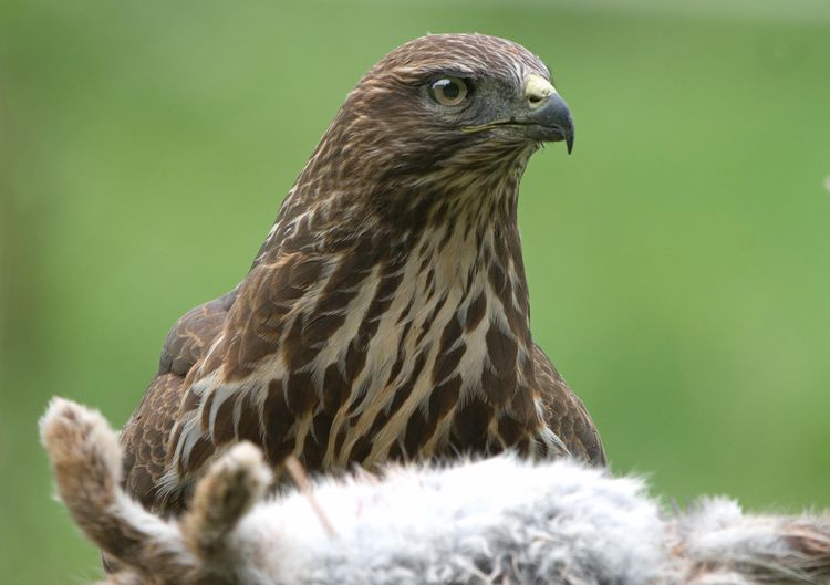 5HAS8166_edited-1 5HAS8166_edited-1