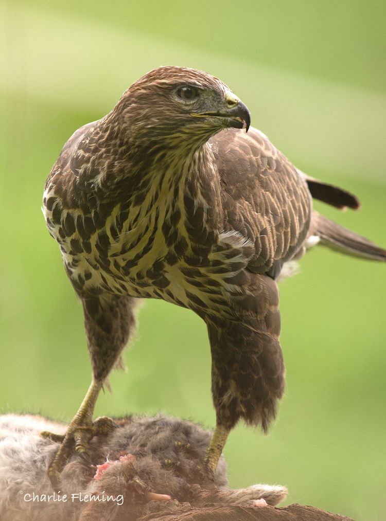 5HAS8259_edited-1 5HAS8259_edited-1