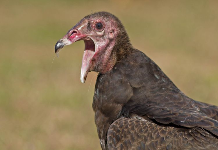 141192193.v0fEPsP3.IMGP9340a