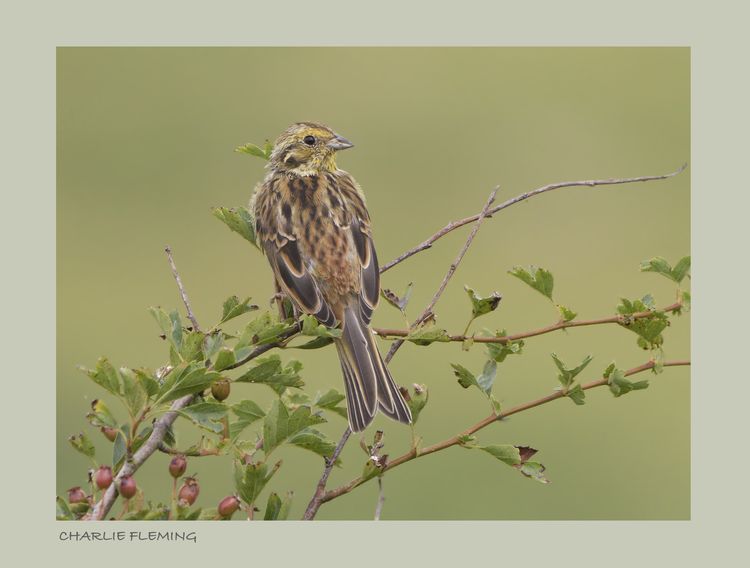 _IGP8159_edited-2 _IGP8159_edited-2