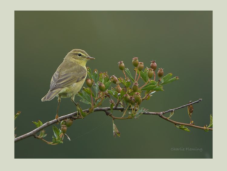 IMGP7683_edited-1 IMGP7683_edited-1