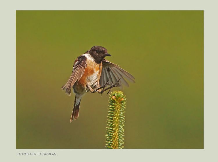 151970467.U86kmDB2 151970467.U86kmDB2